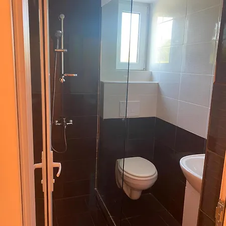Casa Stoian 3* 科斯蒂内什蒂